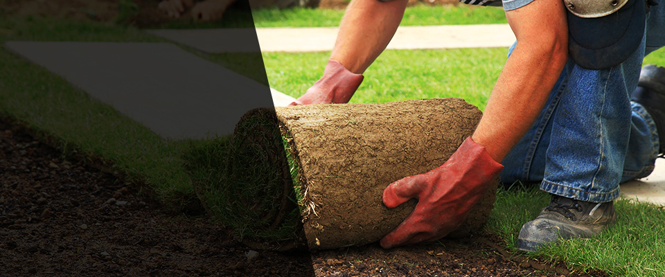 Capitola Landscapers
